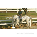 5-rail horse fence, foga fence,al fence horses,pvc fencing post and rail,el fenc/ pvc esgrima caballo
